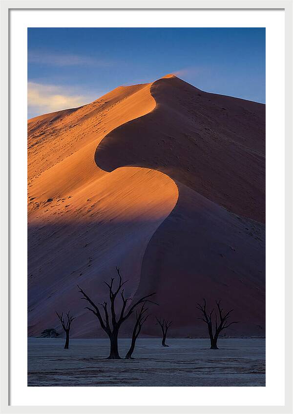 Sossusvlei Dunes At Dawn