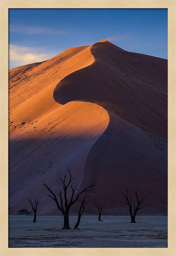 Sossusvlei Dunes At Dawn