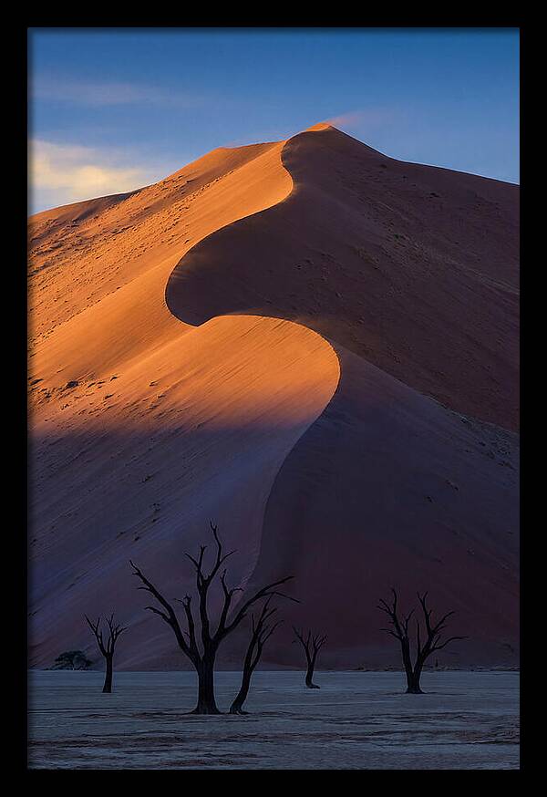 Sossusvlei Dunes At Dawn