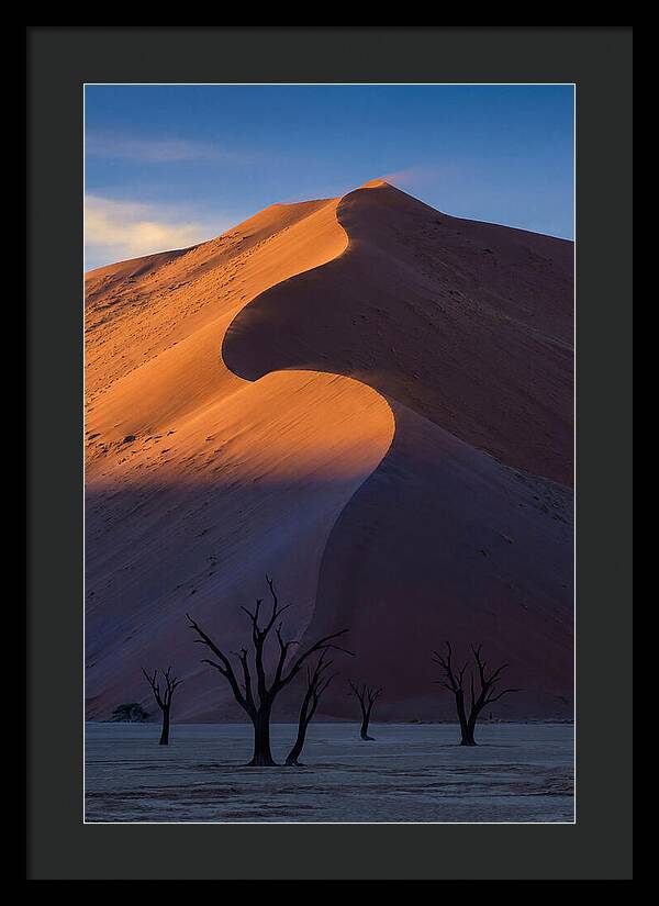 Sossusvlei Dunes At Dawn
