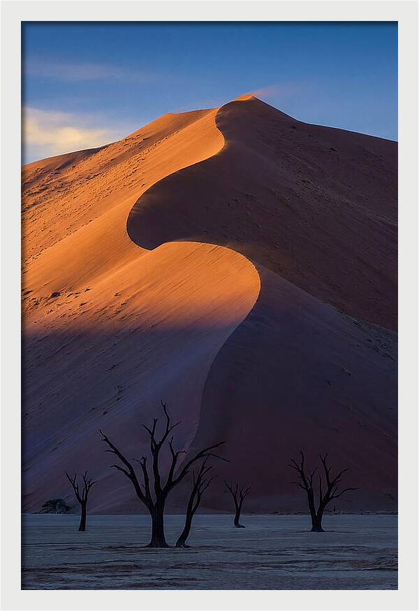 Sossusvlei Dunes At Dawn
