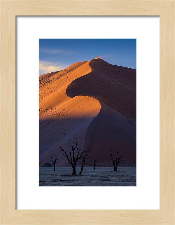 Sossusvlei Dunes At Dawn