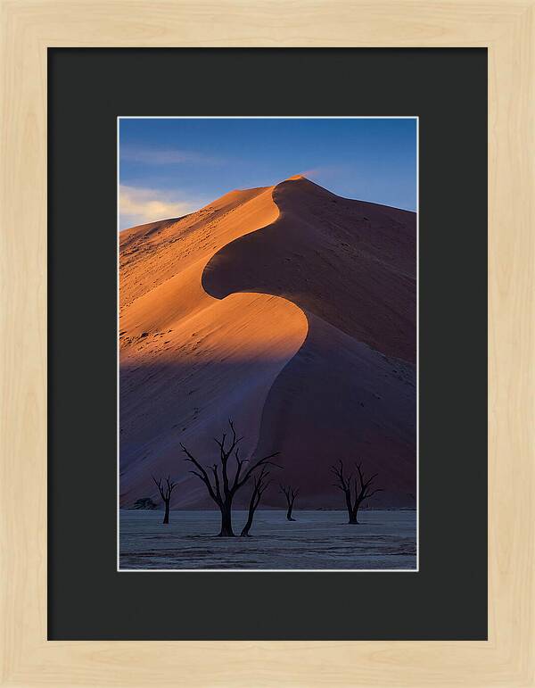 Sossusvlei Dunes At Dawn