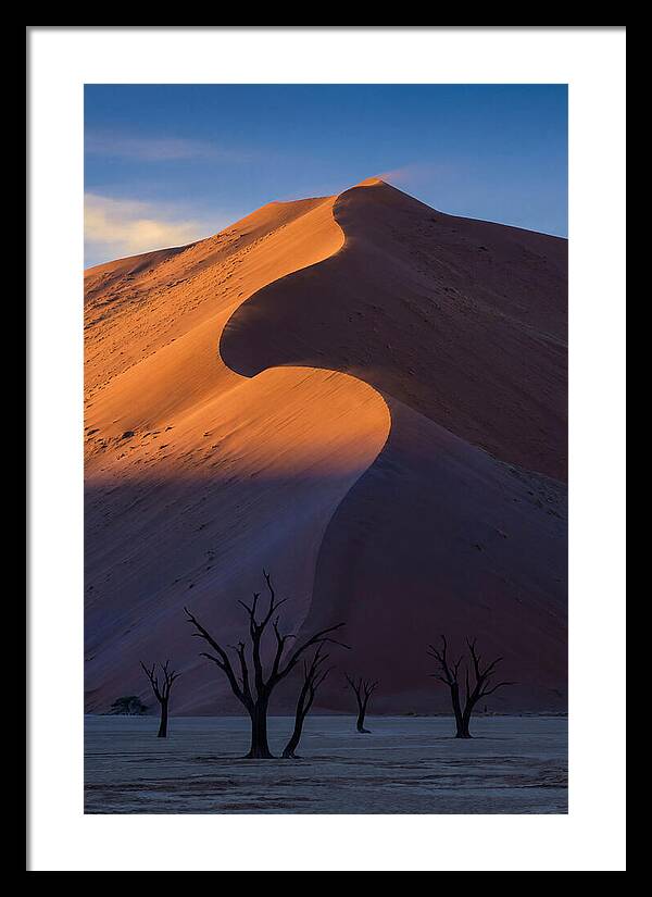 Sossusvlei Dunes At Dawn