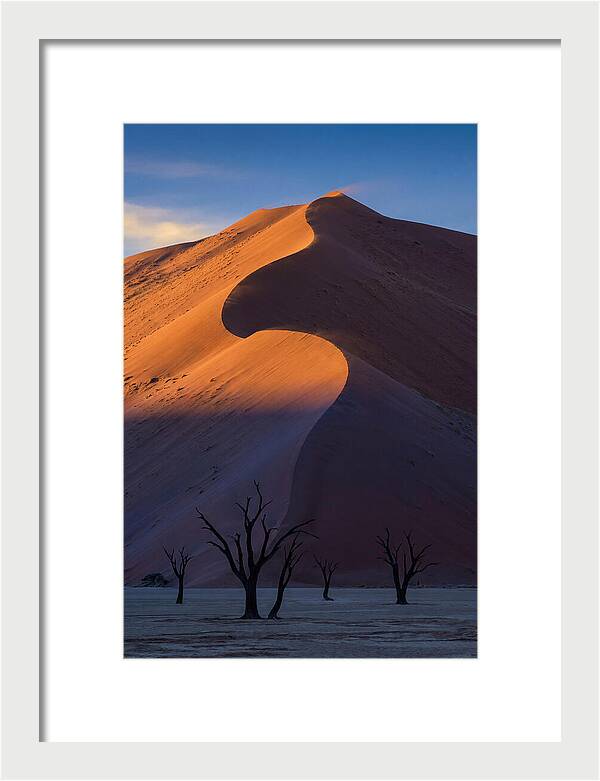 Sossusvlei Dunes At Dawn
