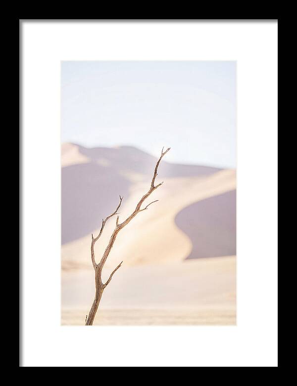 Sossusvlei Serenity At Dawn