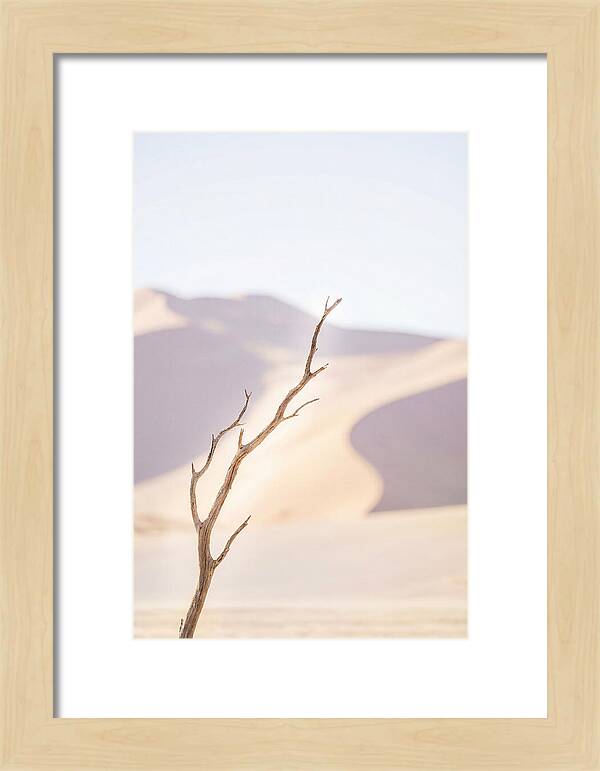 Sossusvlei Serenity At Dawn