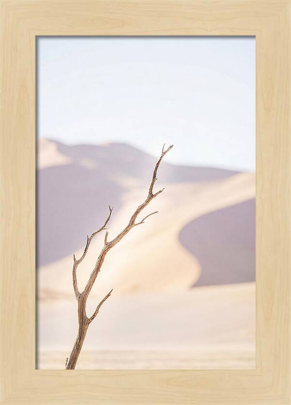 Sossusvlei Serenity At Dawn