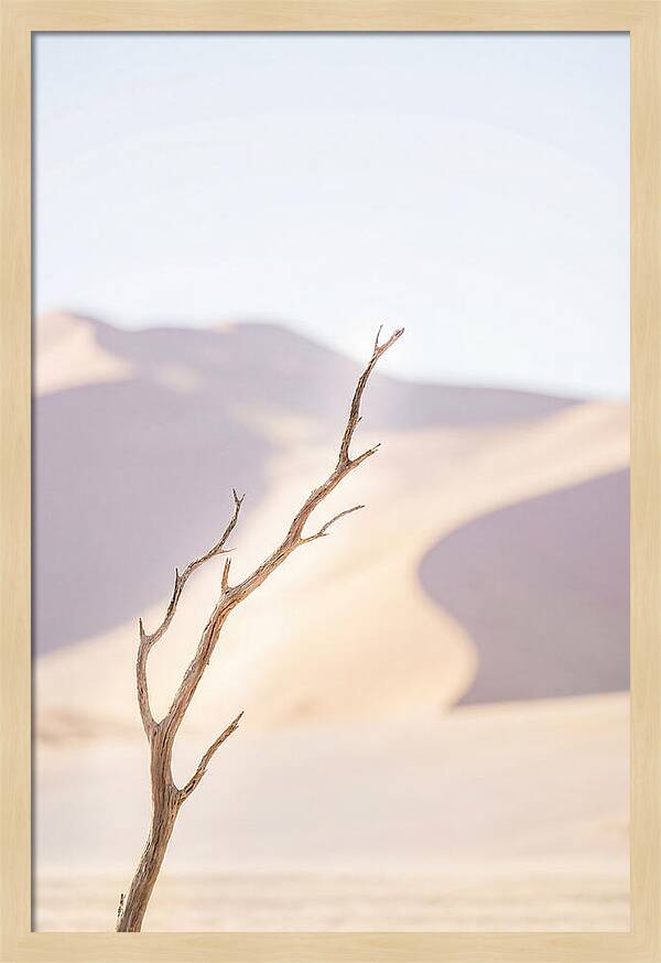 Sossusvlei Serenity At Dawn