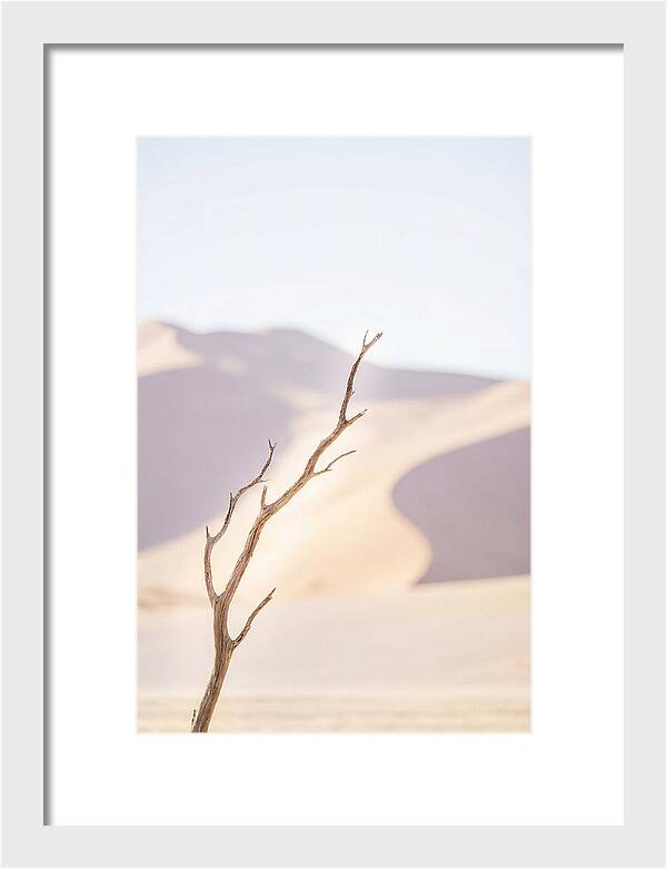Sossusvlei Serenity At Dawn