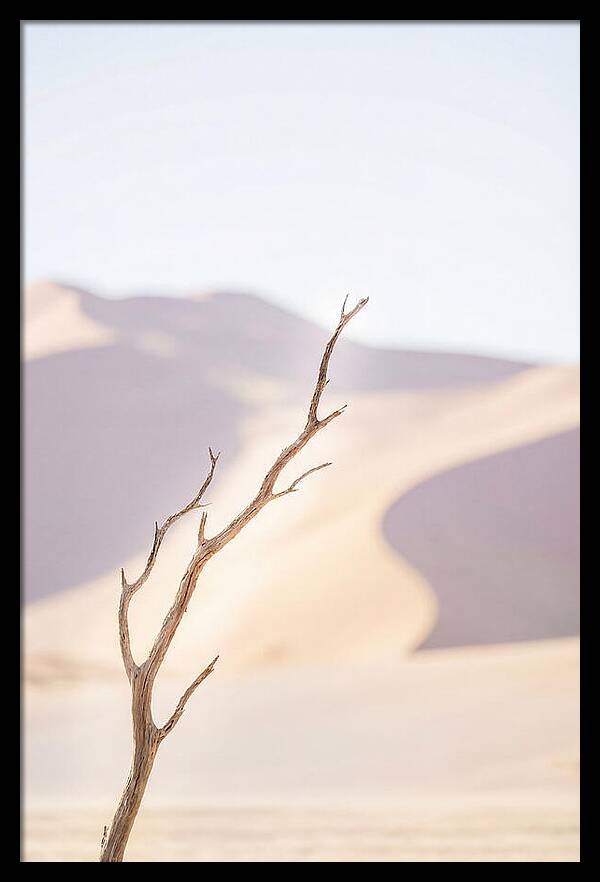 Sossusvlei Serenity At Dawn