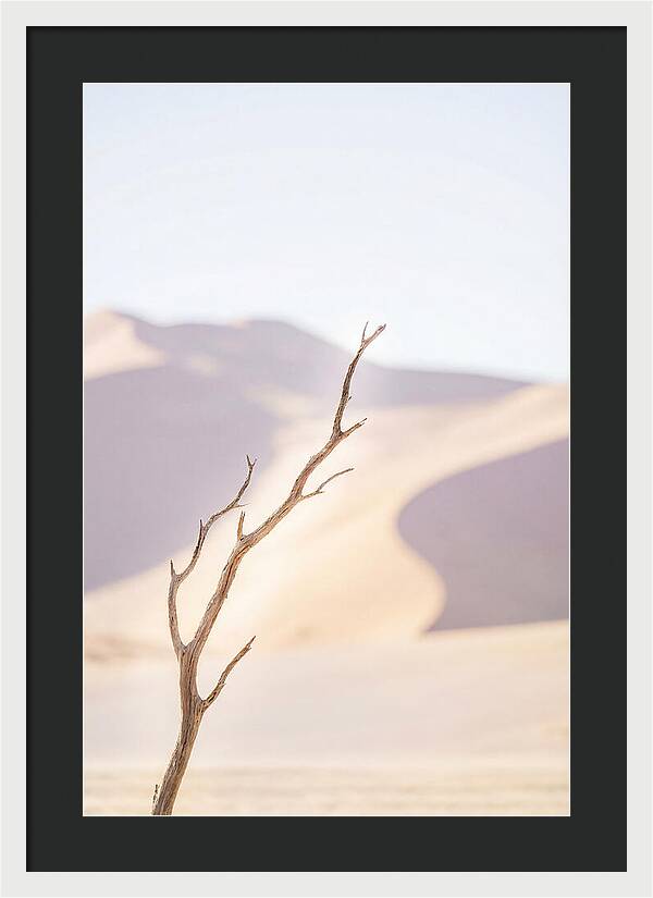 Sossusvlei Serenity At Dawn
