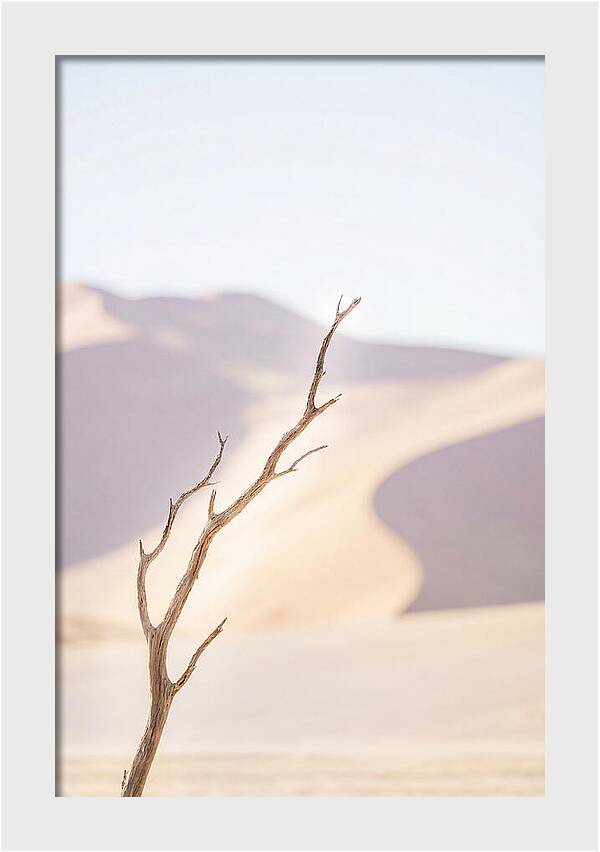 Sossusvlei Serenity At Dawn