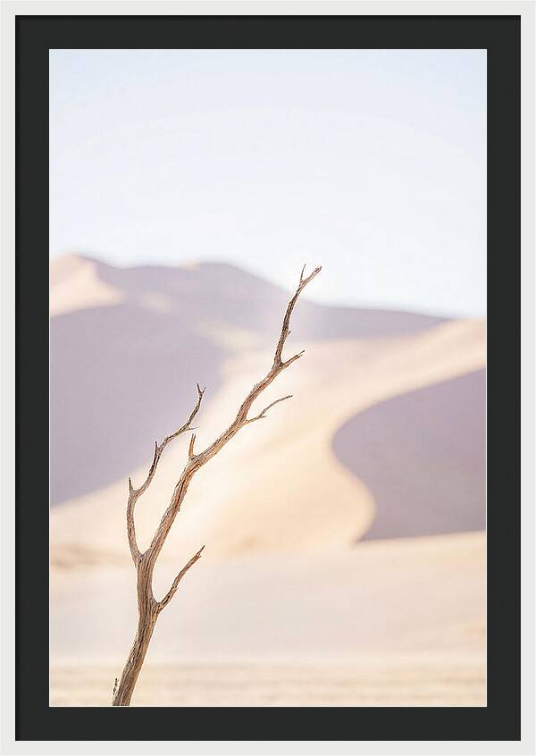 Sossusvlei Serenity At Dawn