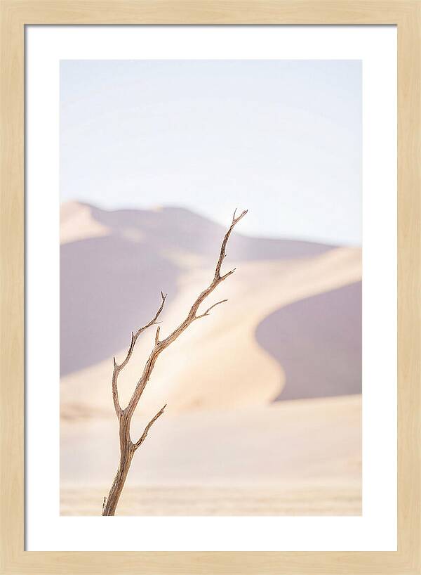 Sossusvlei Serenity At Dawn