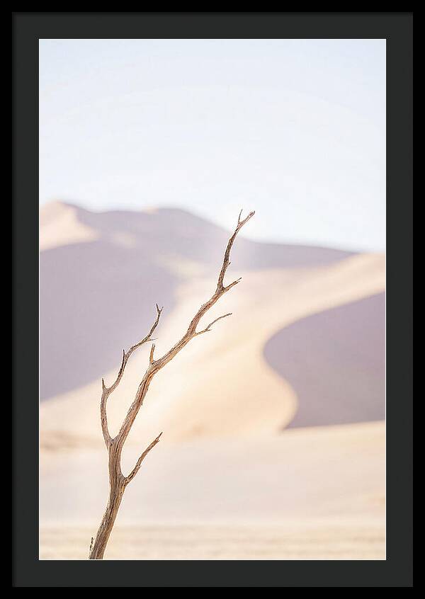 Sossusvlei Serenity At Dawn