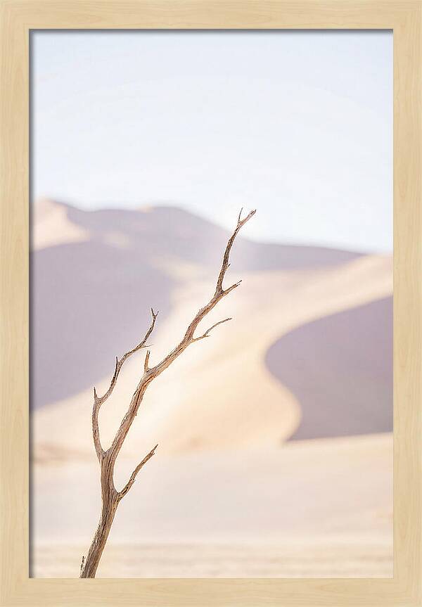 Sossusvlei Serenity At Dawn
