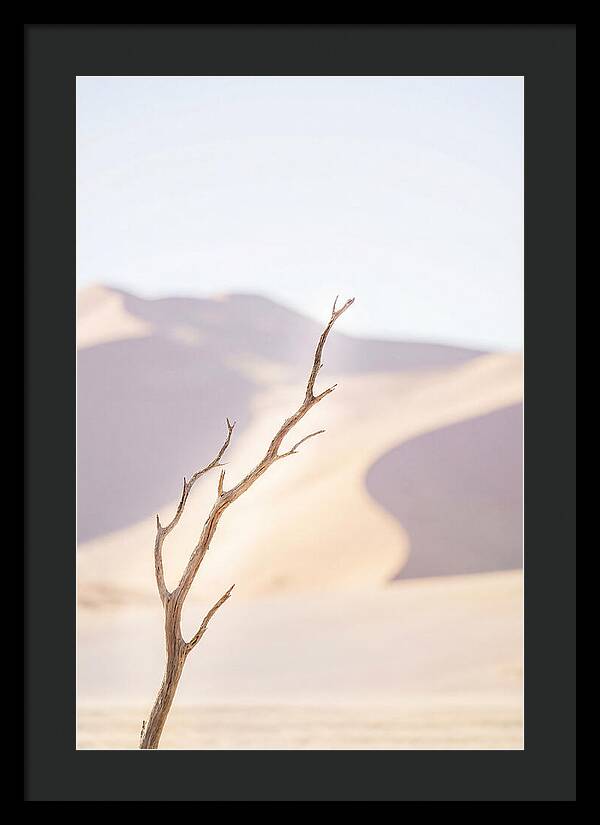 Sossusvlei Serenity At Dawn