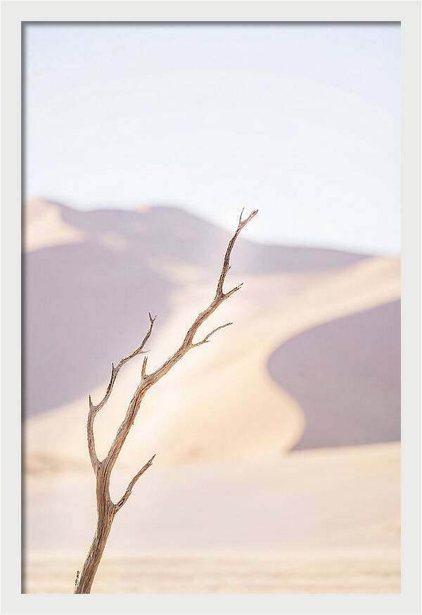 Sossusvlei Serenity At Dawn