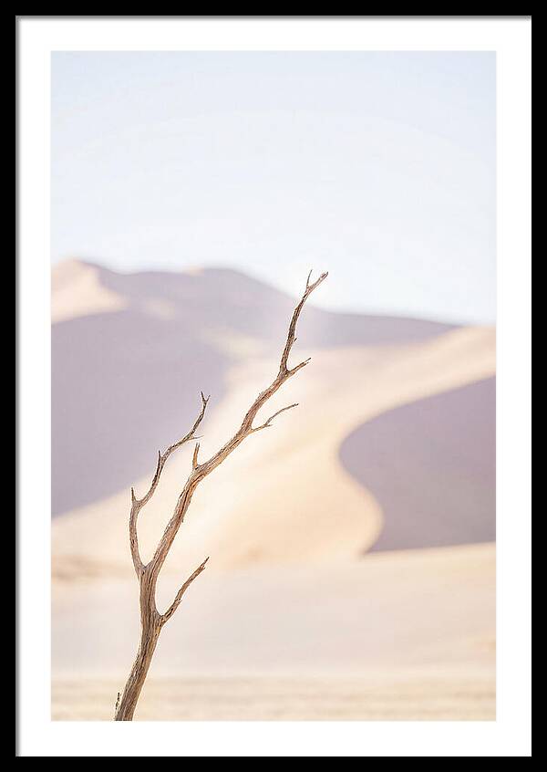 Sossusvlei Serenity At Dawn