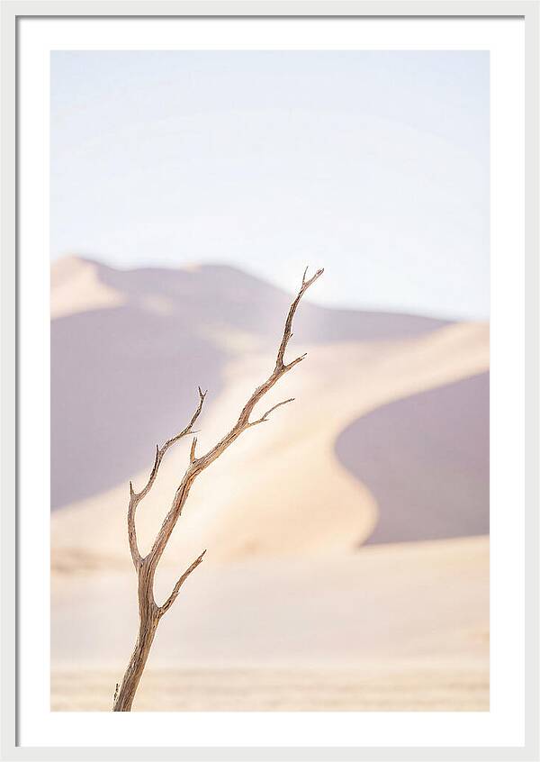 Sossusvlei Serenity At Dawn