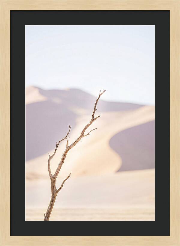 Sossusvlei Serenity At Dawn