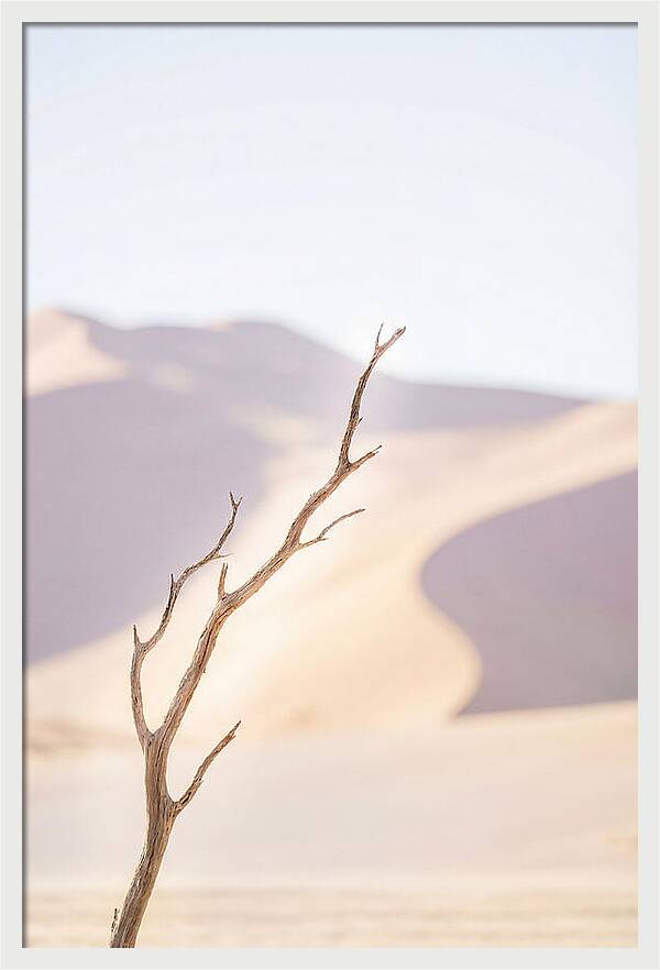 Sossusvlei Serenity At Dawn