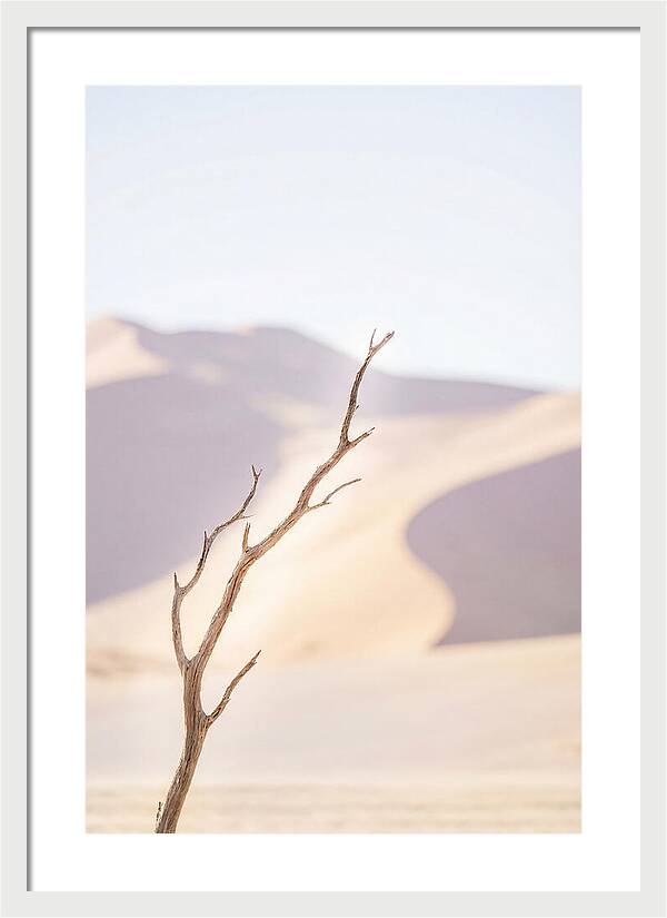 Sossusvlei Serenity At Dawn