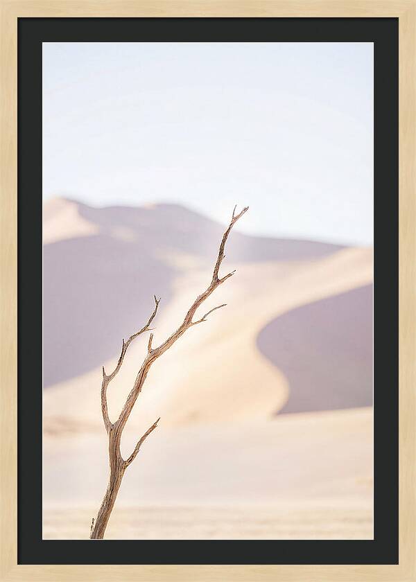 Sossusvlei Serenity At Dawn