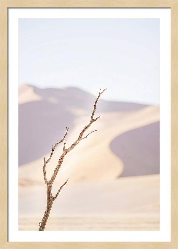 Sossusvlei Serenity At Dawn
