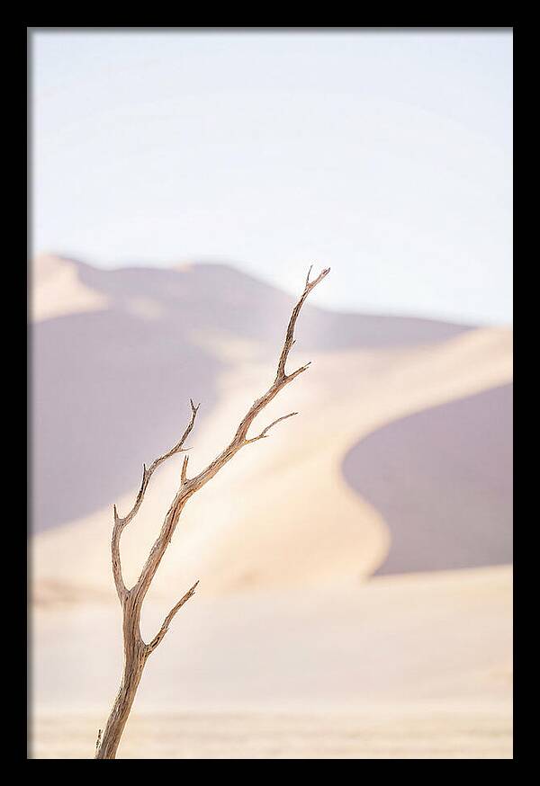 Sossusvlei Serenity At Dawn