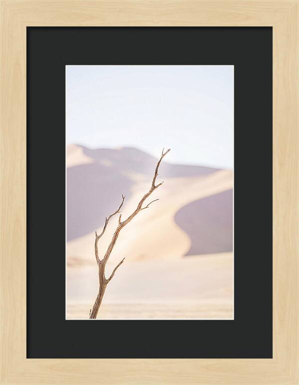 Sossusvlei Serenity At Dawn