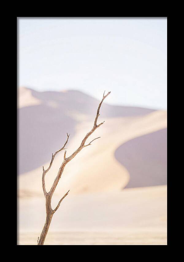 Sossusvlei Serenity At Dawn