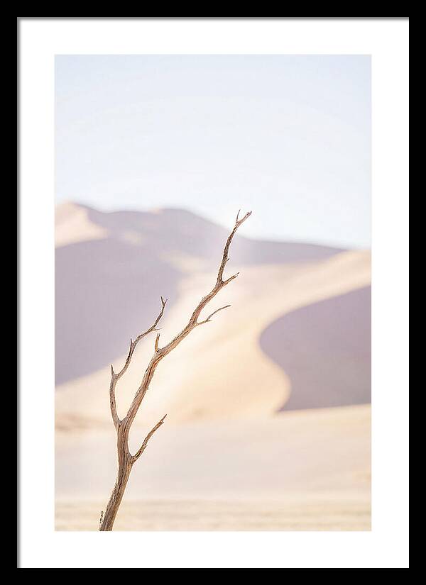 Sossusvlei Serenity At Dawn