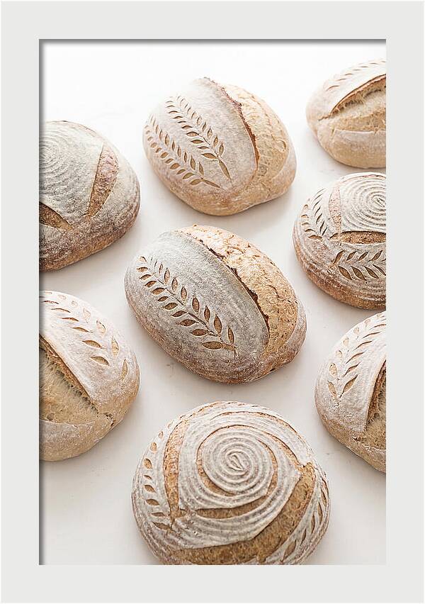 Sourdough Bread Collection