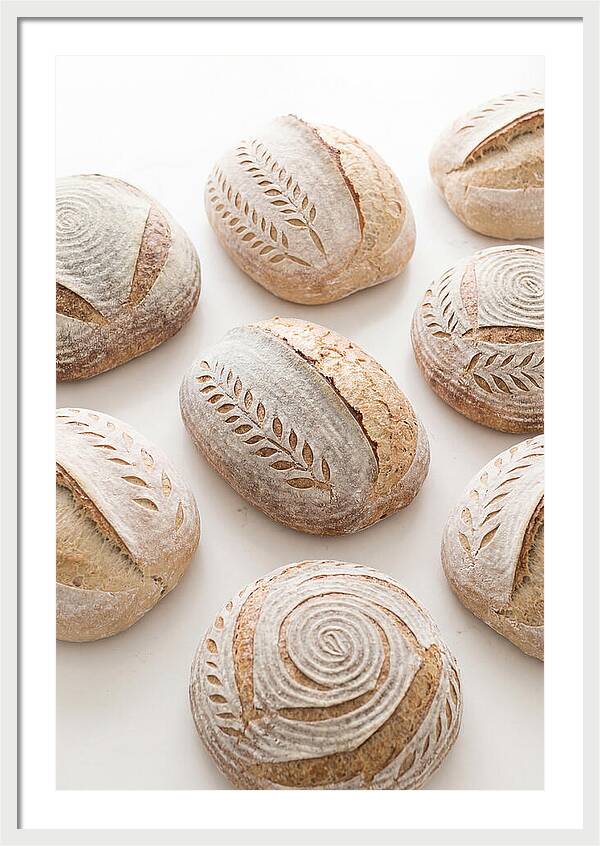 Sourdough Bread Collection