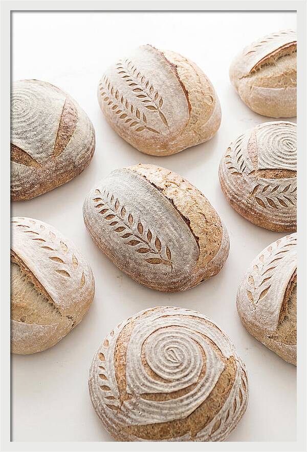 Sourdough Bread Collection