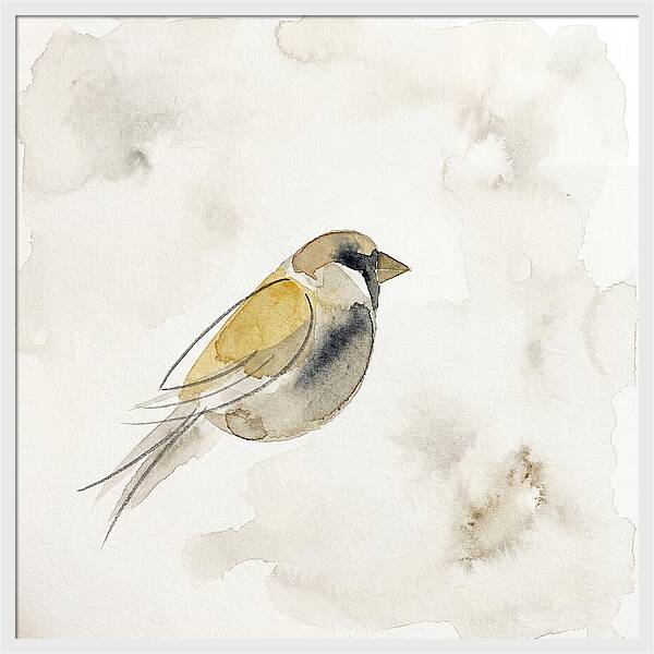 Sparrow In Soft Watercolor