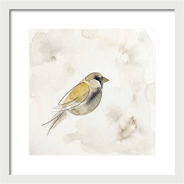 Sparrow In Soft Watercolor