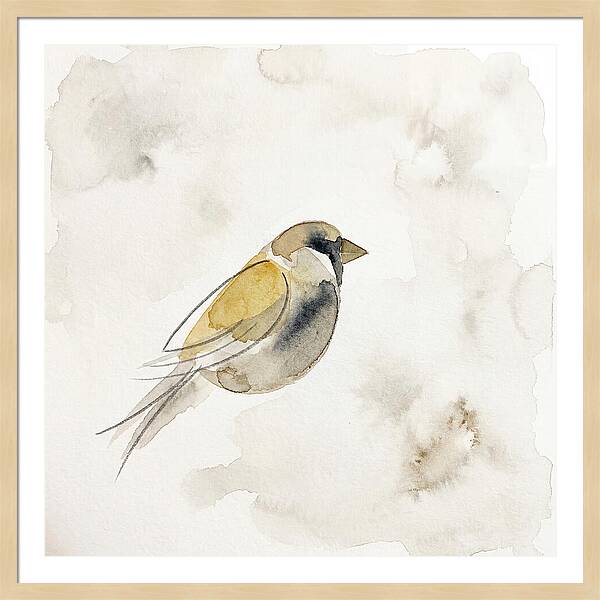 Sparrow In Soft Watercolor