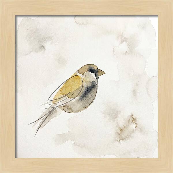 Sparrow In Soft Watercolor