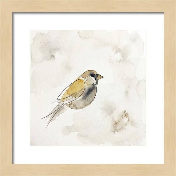Sparrow In Soft Watercolor