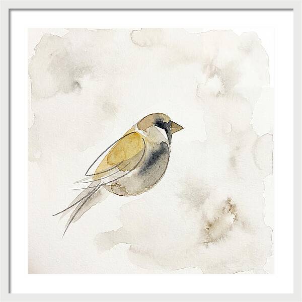 Sparrow In Soft Watercolor