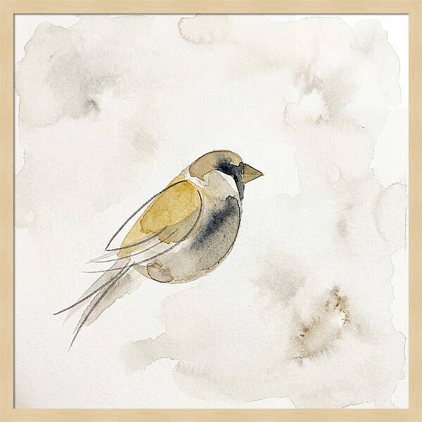 Sparrow In Soft Watercolor