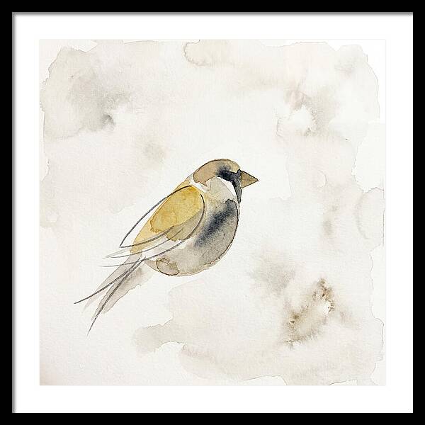 Sparrow In Soft Watercolor