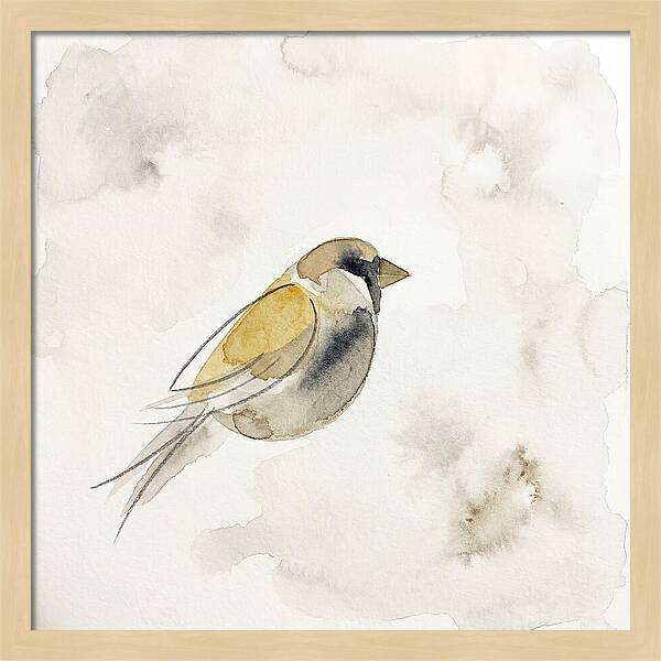 Sparrow In Soft Watercolor