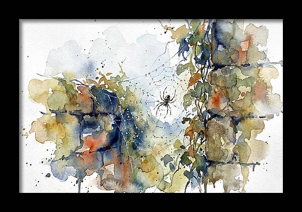 Spider In A Web