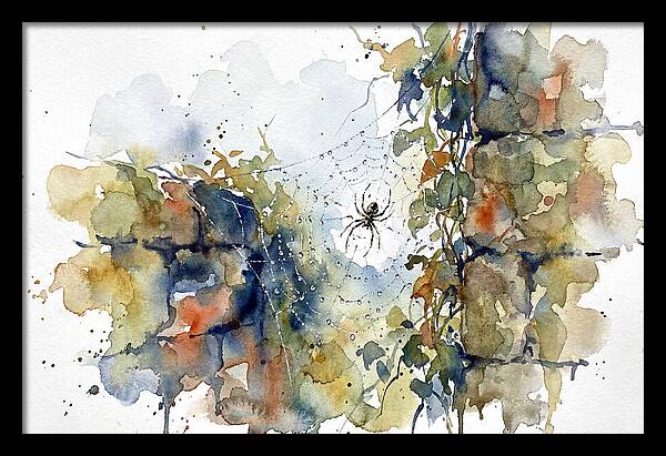 Spider In A Web
