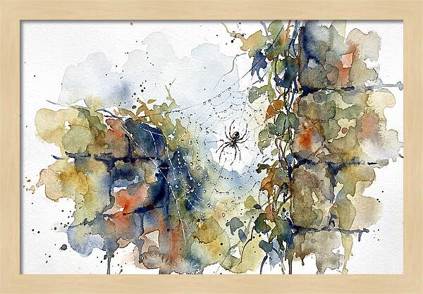 Spider In A Web