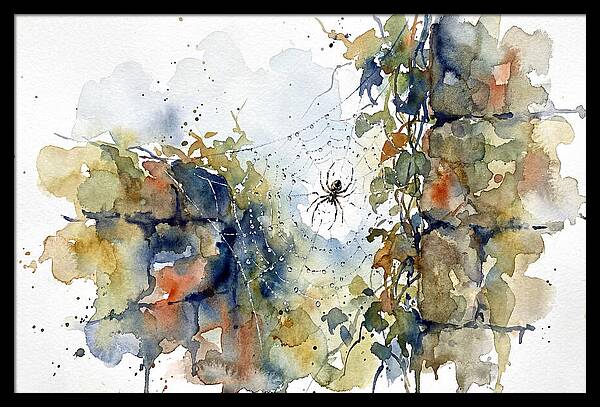 Spider In A Web